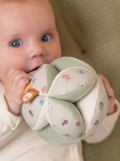 Spielzeug-Erstes Spielzeug-Baby Sensorikball LITTLE DUTCH