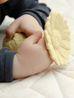 Hochet de dentition -