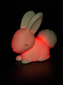 Linge de maison et décoration-Décoration-Luminaire-Mini veilleuse Lapin blanc - DHINK KONTIKI