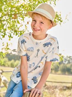 Junge-T-Shirt, Poloshirt, Unterziehpulli-Jungen T-Shirt, Bauernhof-Motive Oeko-Tex