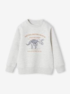 Junge-Pullover, Strickjacke, Sweatshirt-Sweatshirt-Jungen Sweatshirt mit Print, Recycling-Polyester Basic