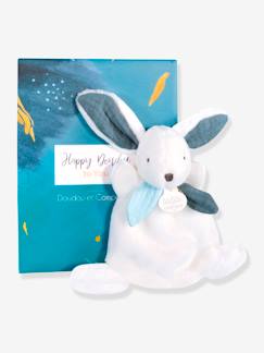 Jouet-Premier âge-Doudous, peluches et jouets en tissu-Happy doudou plat 17cm - DOUDOU ET COMPAGNIE