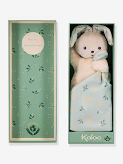 Doudou lapin -