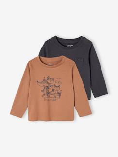 Bébé-T-shirt, sous-pull-T-shirt-Lot de 2 tee-shirts Basics bébé manches longues