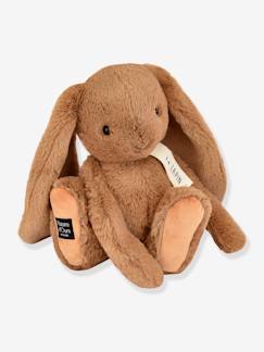 Jouet-Premier âge-Peluche le lapin - HISTOIRE D'OURS