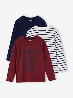 Garçon-T-shirt, polo, sous-pull-Lot de 3 T-shirts Basics garçon manches longues