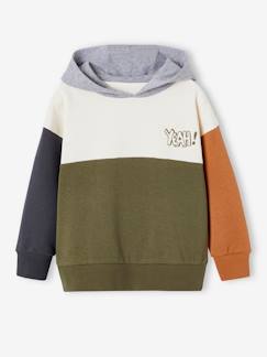 Junge-Pullover, Strickjacke, Sweatshirt-Sweatshirt-Jungen Kapuzensweatshirt im Colorblock-Style Basics mit Recycling-Polyester