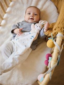 Doudou lapin -
