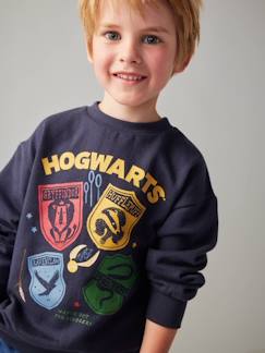 Junge-Pullover, Strickjacke, Sweatshirt-Jungen Sweatshirt mit Wappen HARRY POTTER