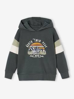 Junge-Pullover, Strickjacke, Sweatshirt-Sweatshirt-Jungen Kapuzensweatshirt mit Colorblock-Ärmeln Oeko-Tex