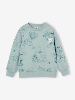 Junge-Pullover, Strickjacke, Sweatshirt-Jungen Sweatshirt PAW PATROL