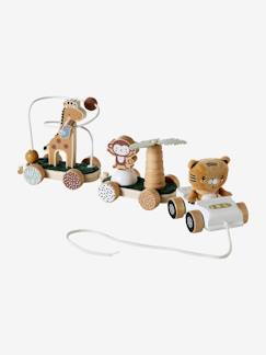 Spielzeug-Erstes Spielzeug-Erstes Lernspielzeug-Baby Activity-Zug TANSANIA aus Holz FSC®