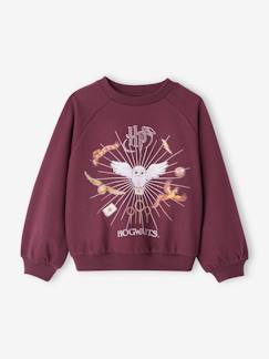 Mädchen-Pullover, Strickjacke, Sweatshirt-Sweatshirt-Mädchen Sweatshirt mit Hedwig und Glitzer HARRY POTTER