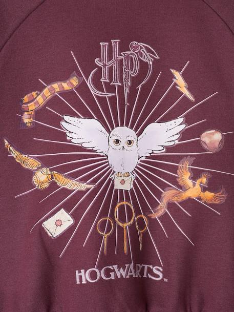 Sweat Harry Potter® fille motif Hedwige avec détails glitter prune 