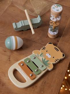 Spielzeug-Erstes Spielzeug-4-teiliges Set Baby Musikinstrumente TANSANIA, Holz FSC®