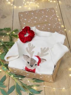 Fille-Pull, gilet, sweat-Coffret de Noël pull jacquard motif animal + accessoire fille