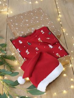 Bébé-Pull, gilet, sweat-Sweat-Coffret Noël sweat et bonnet bébé