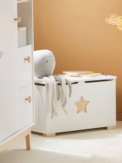 Chambre et rangement-Rangement-Coffre, rangement jouet-Coffre à jouets LIGNE SIRIUS