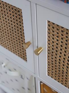 Chambre et rangement-Porte pour meuble à cases cannage