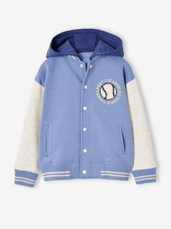 Garçon-Pull, gilet, sweat-Sweat molleton style Teddy à capuche garçon