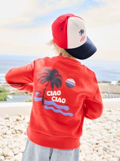Sweat motif vacances au dos garçon