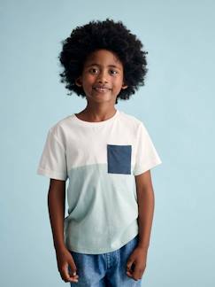 Garçon-T-shirt, polo, sous-pull-T-shirt-T-shirt garçon coloblock manches courtes