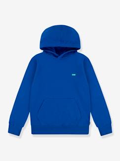 Junge-Pullover, Strickjacke, Sweatshirt-Sweatshirt-Kinder Kapuzensweatshirt Mini Batwing Levi's