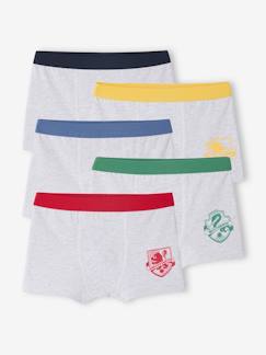 Garçon-Sous-vêtement-Lot 5 boxers Harry Potter blasons