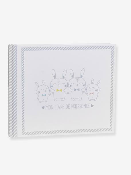 Livre De Naissance Blanc Bebe