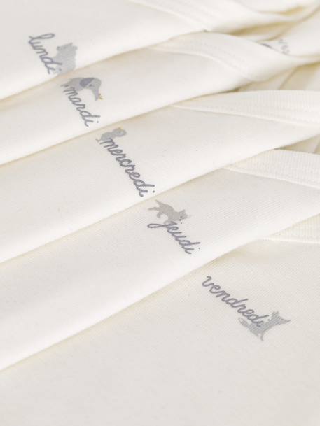 Lot de 5 bodies croisés manches courtes bébé blanc 