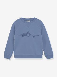 Garçon-Pull, gilet, sweat-Sweat-shirt garçon avec broderie avion En Fant