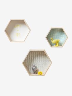 Collection Botanique-Lot de 3 étagères hexagones enfant