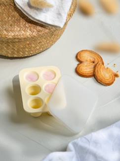 Babyartikel-Essen-Silikon-Förmchen Baby Nachtisch PETIT TRUC 6 Portionen