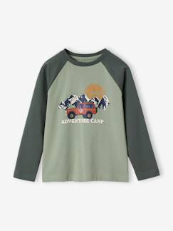 Garçon-T-shirt, polo, sous-pull-T-shirt-T-shirt motif graphique garçon manches raglan colorées 