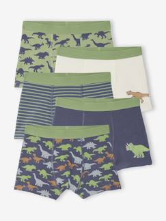 Garçon-Sous-vêtement-Lot 5 Boxers Garçon Dinosaures