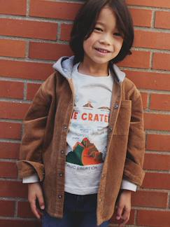 Garçon-Chemise-Chemise en velours garçon capuche molleton