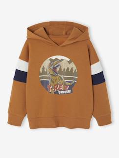 Sweat garçon à capuche motif placé
