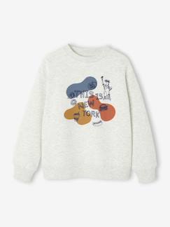 Garçon-Sweat Col Rond Print Placé Garçon
