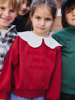 Mädchen-Pullover, Strickjacke, Sweatshirt-Mädchen Sweatshirt mit besticktem Kragen