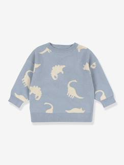 Bébé-Pull, gilet, sweat-Sweat dinosaures