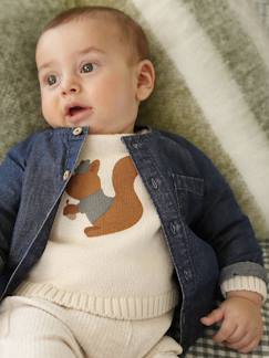 Bébé-T-shirt, sous-pull-Sous-pull-Chemise naissance en denim