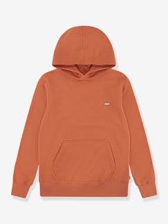 Sweat à capuche Mini Batwing Hoodie LEVI'S