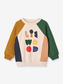 Junge-Pullover, Strickjacke, Sweatshirt-Sweatshirt-Sweatshirt mit Print AUDE LIEWOOD, Bio-Baumwolle