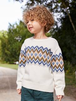 Pull Jacquard Garçon Manches Longues