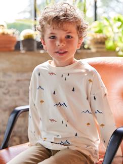 Garçon-T-shirt, polo, sous-pull-T-shirt-T-shirt manches longues imprimé garçon